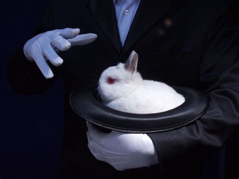 The magic rabbit
